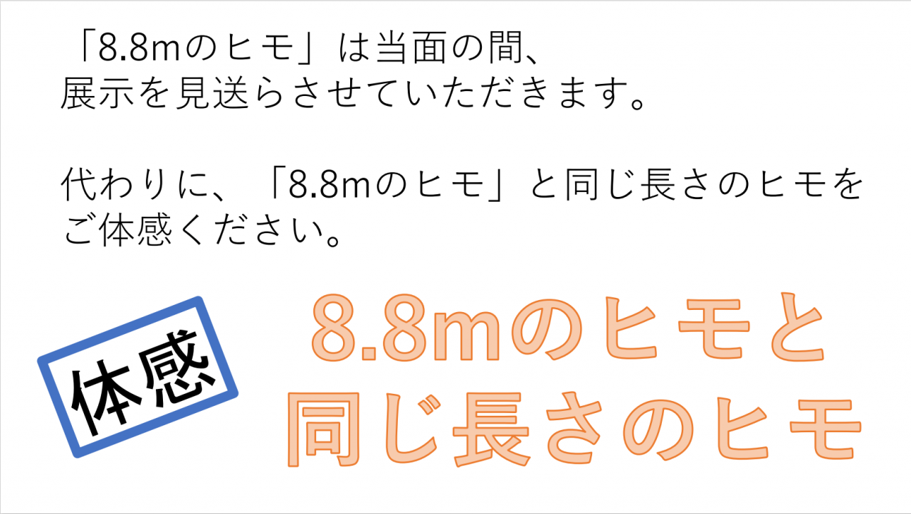 014_サナダムシの注意.png