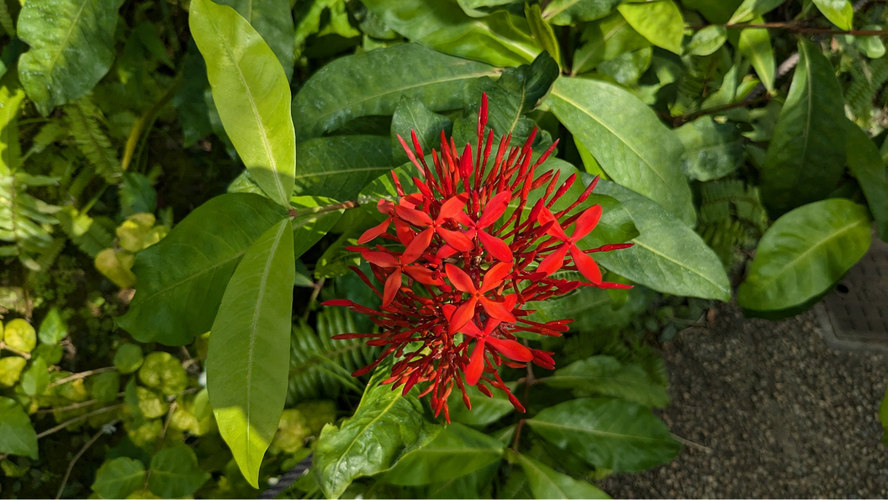 image11.png