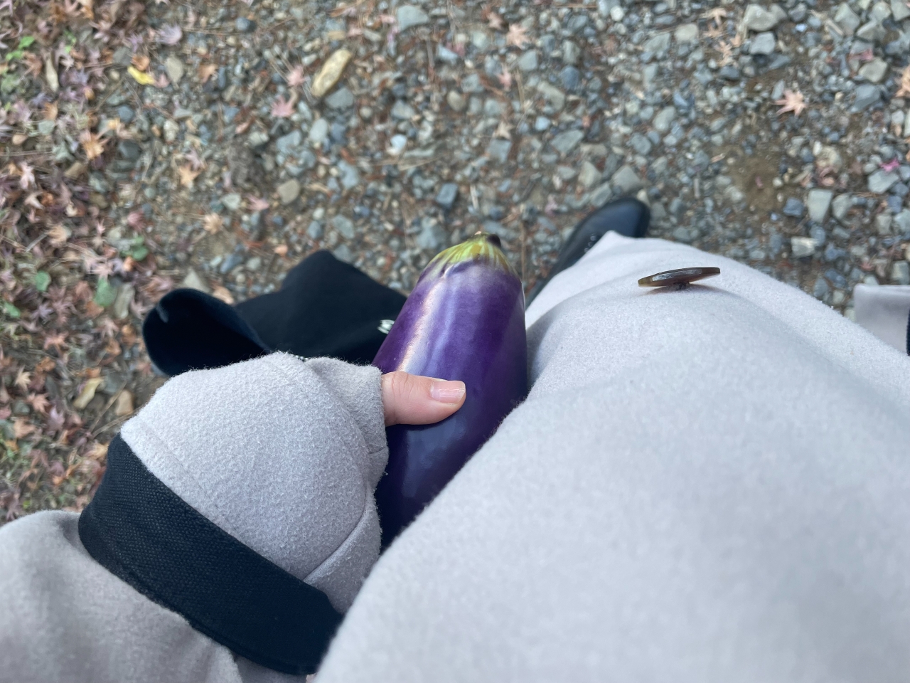 28.jpeg