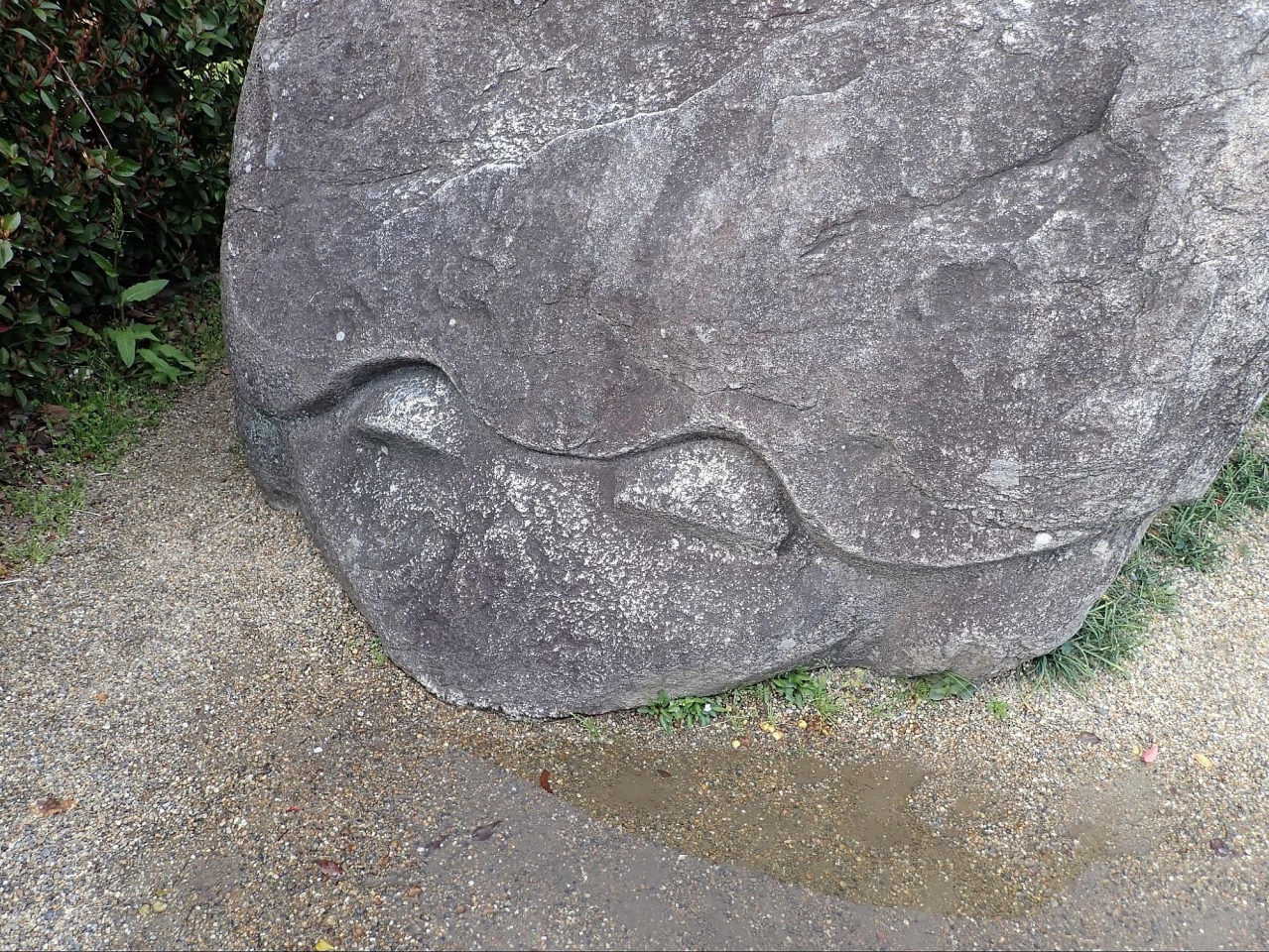 image_s051.jpg