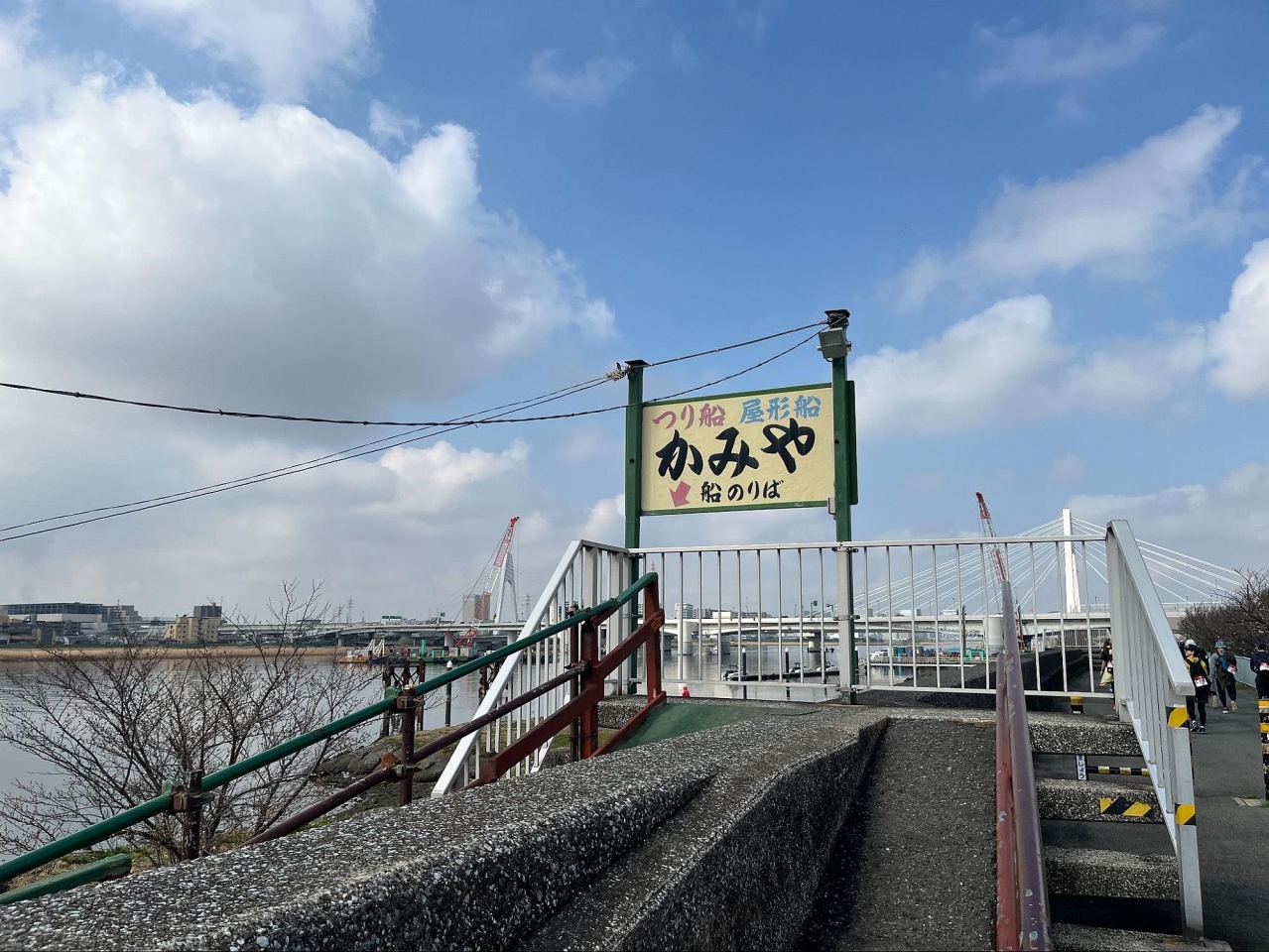 image_s010.jpg