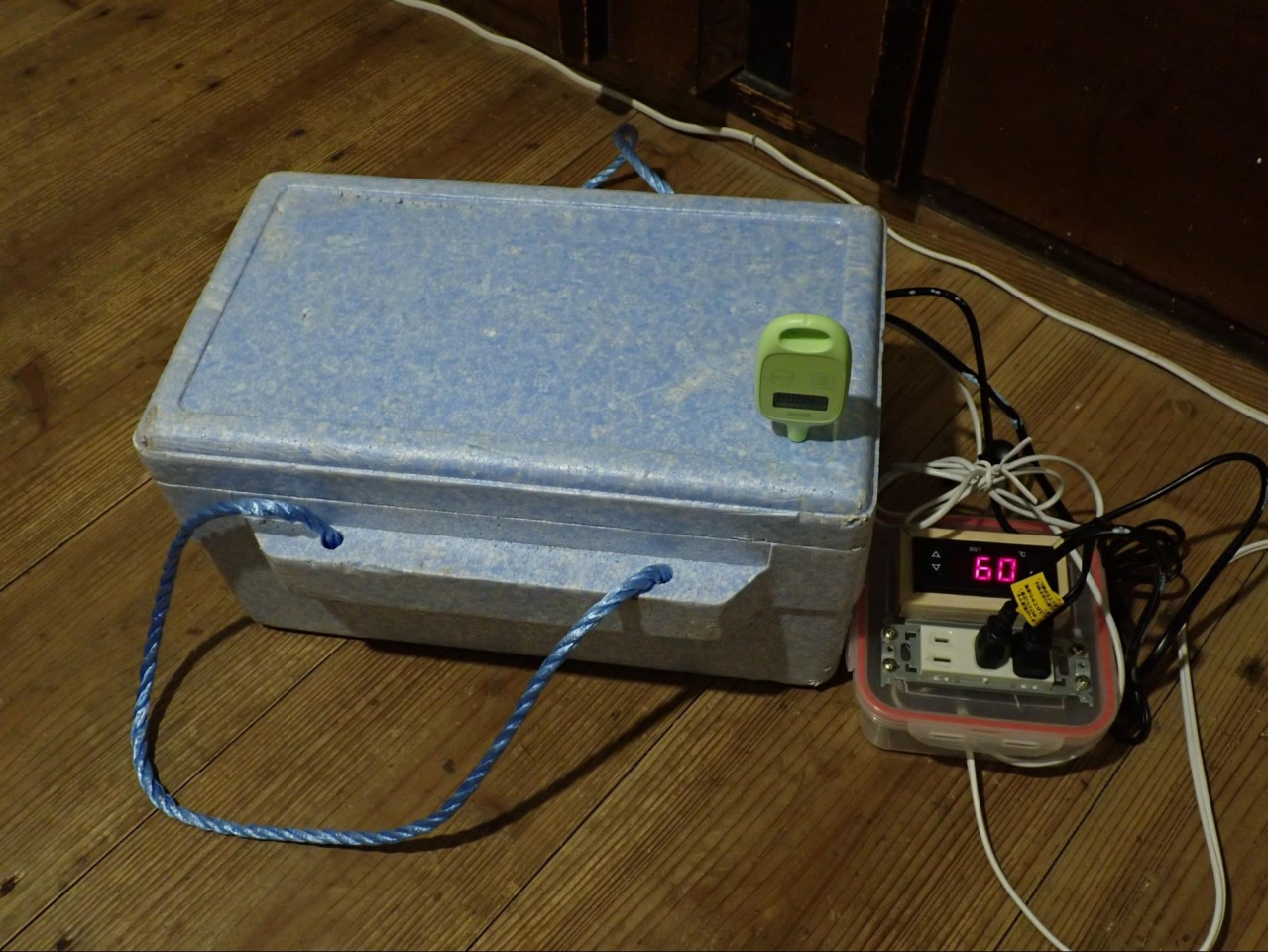 image8.jpg