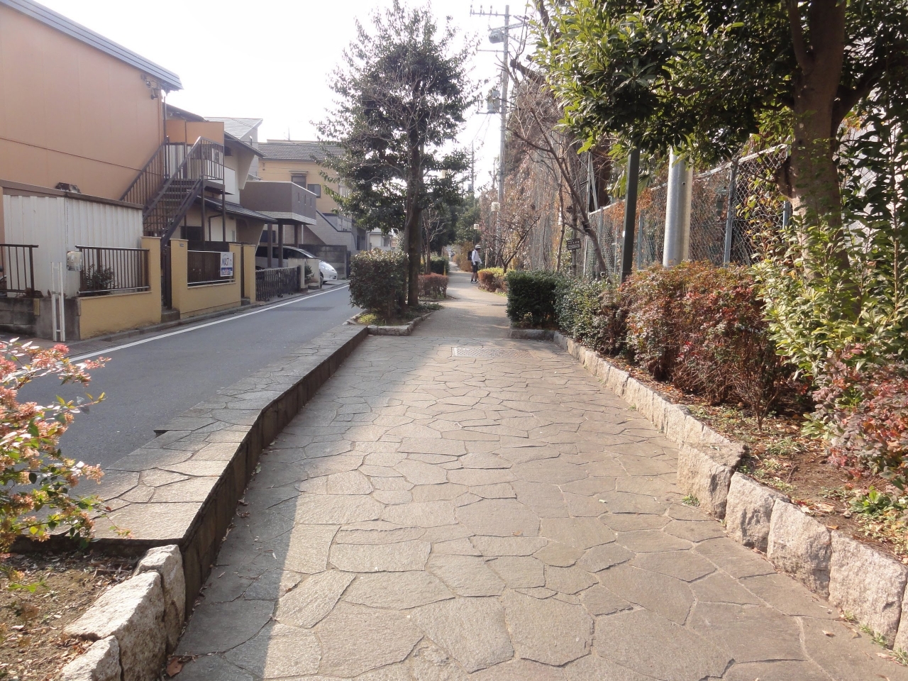 DSC07228.jpg