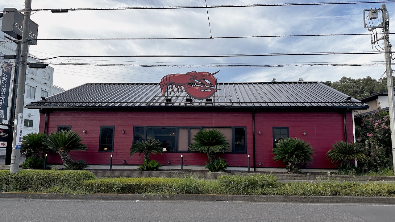 010.jpg
