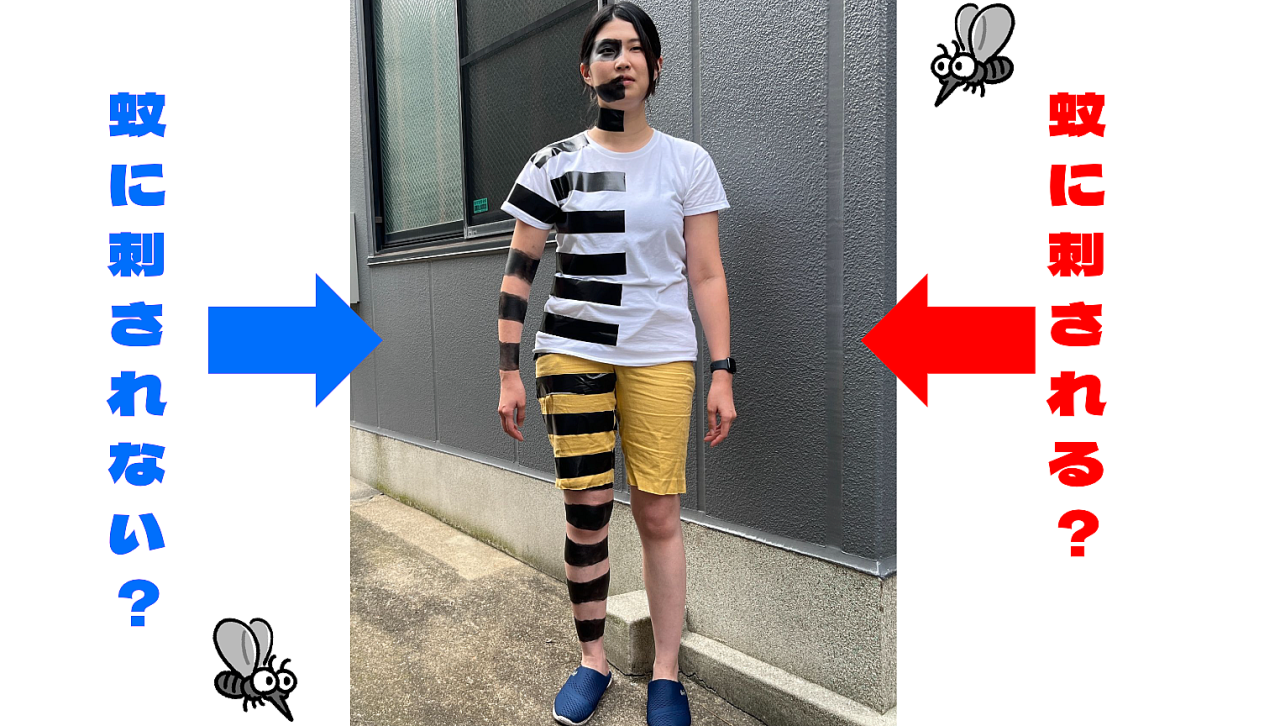 「縞模様になると蚊に刺されにくくなる」は人間にも有効なのか　縞人（しまんちゅ）になって調べてみる