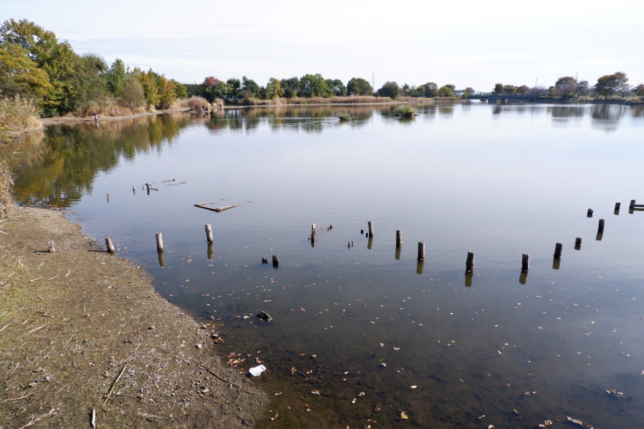 marsh_08.jpg