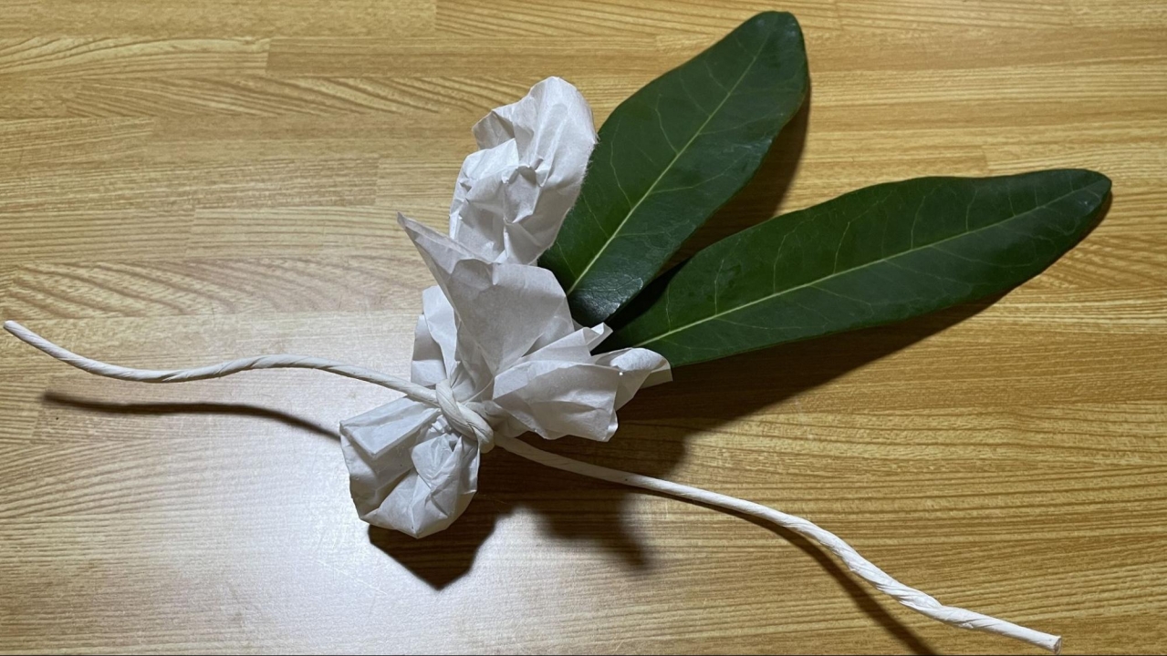 image20.jpg