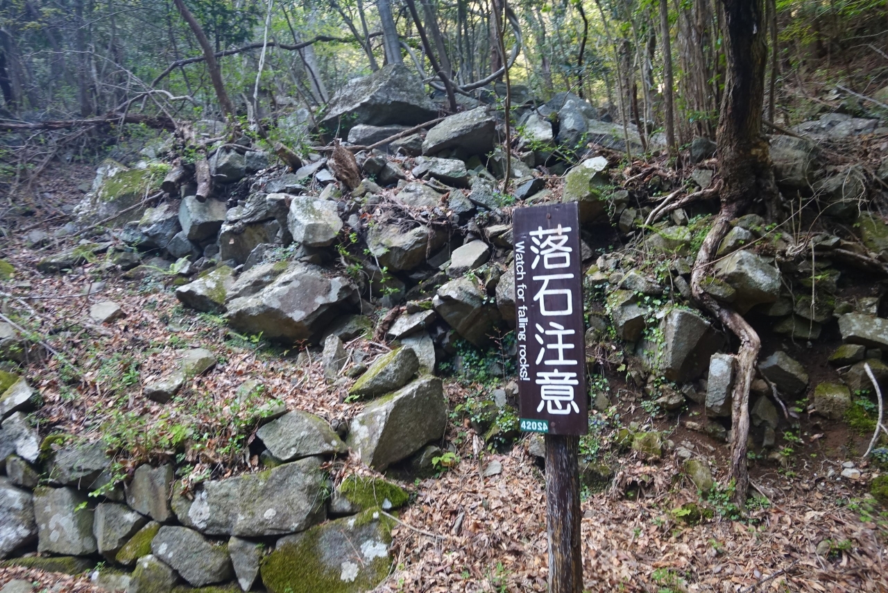 DSC02580.JPG