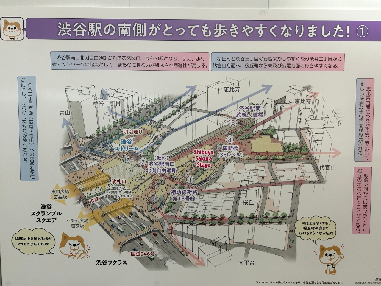 041.jpg