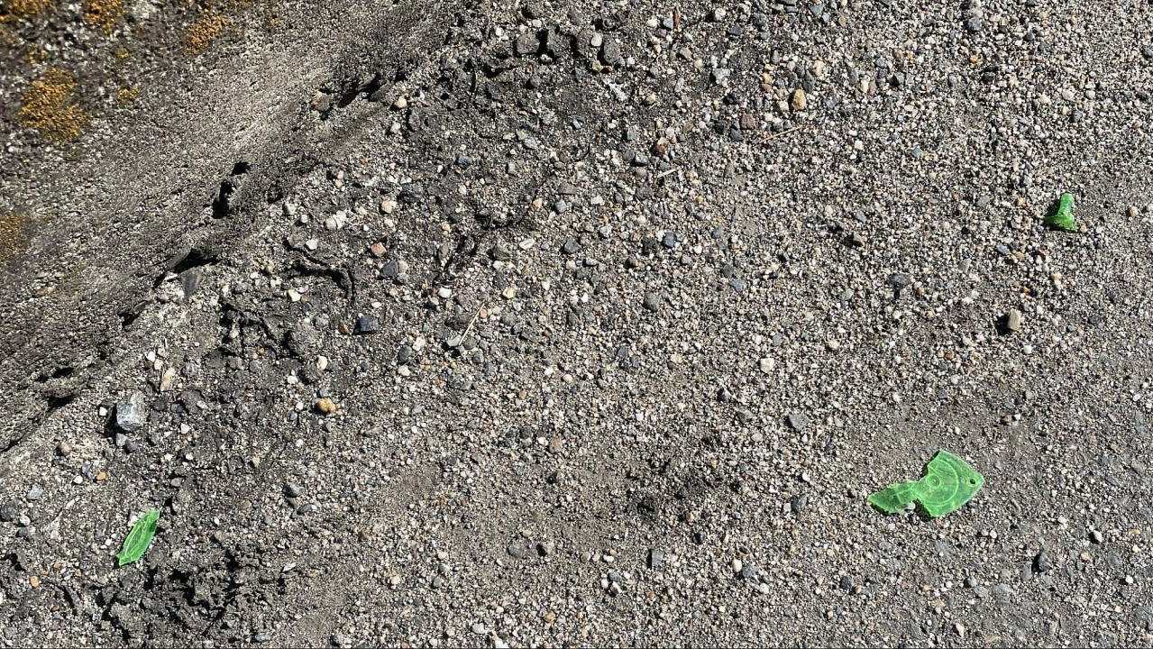 image20.jpg