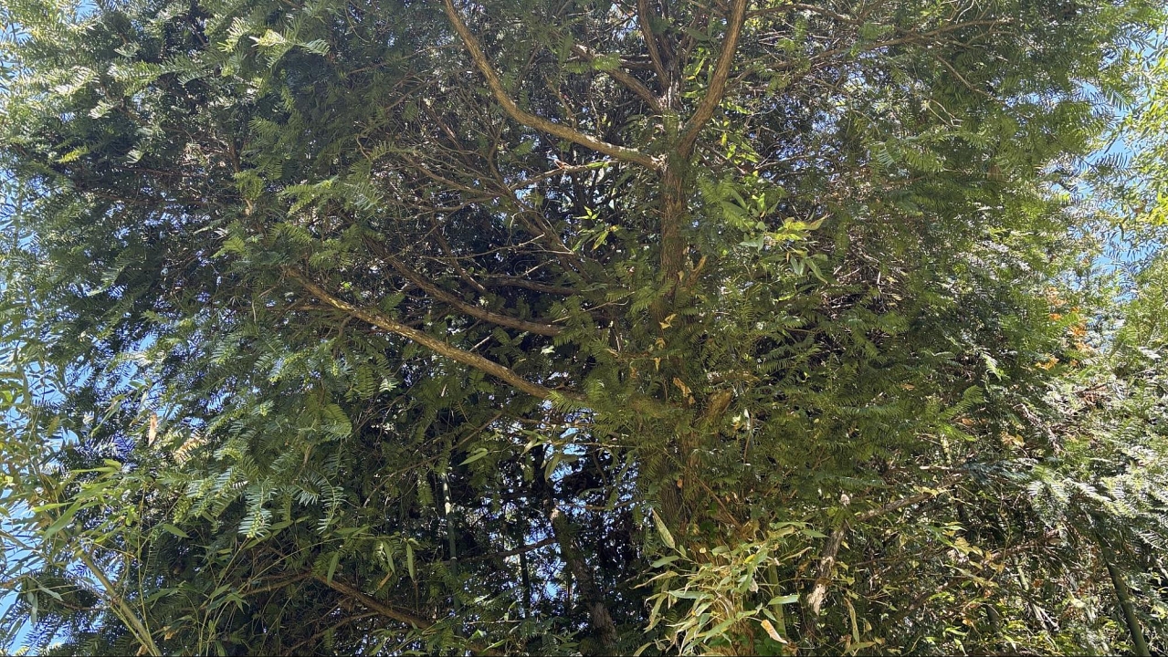 image8.jpg