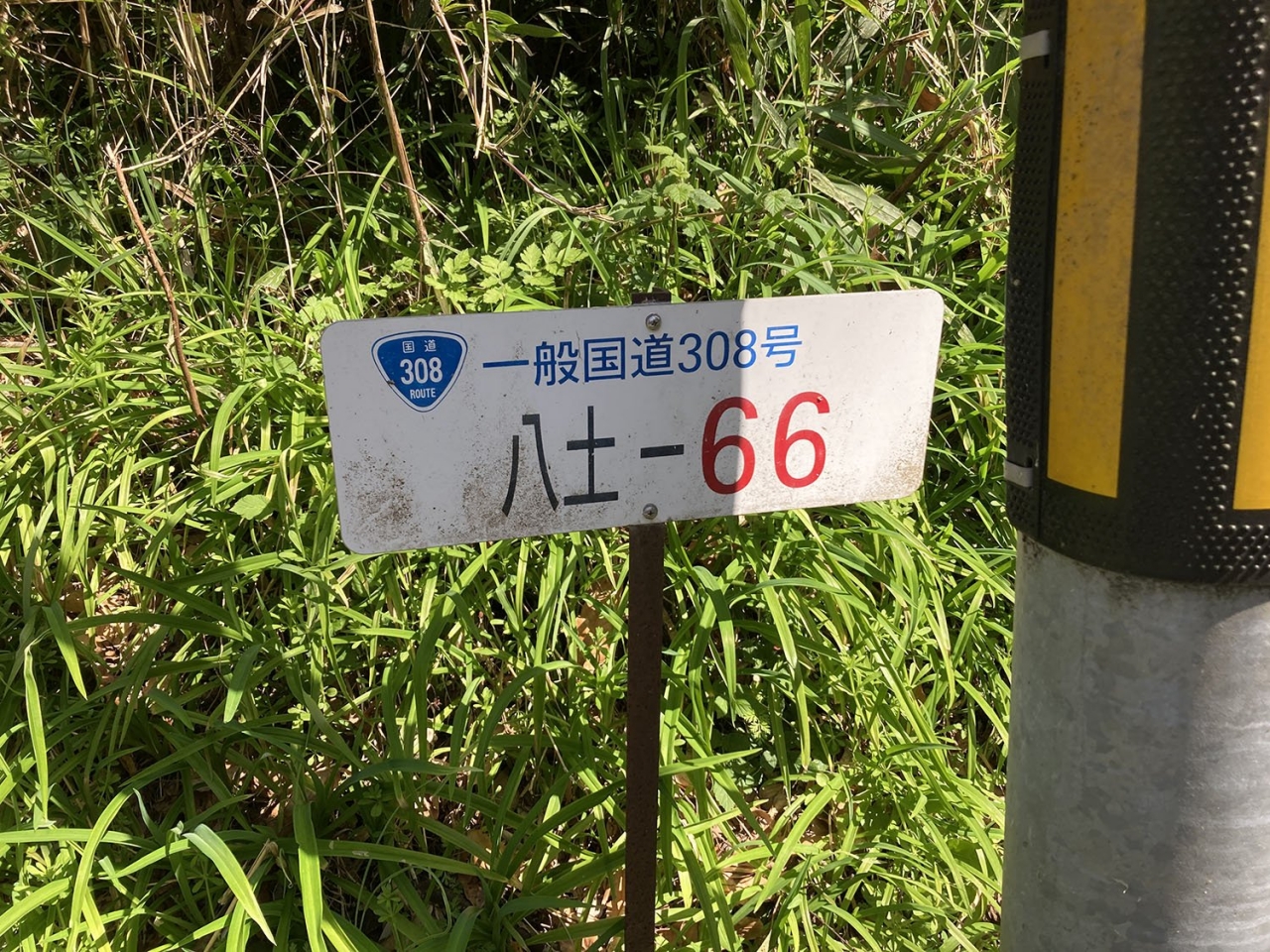 6.JPG