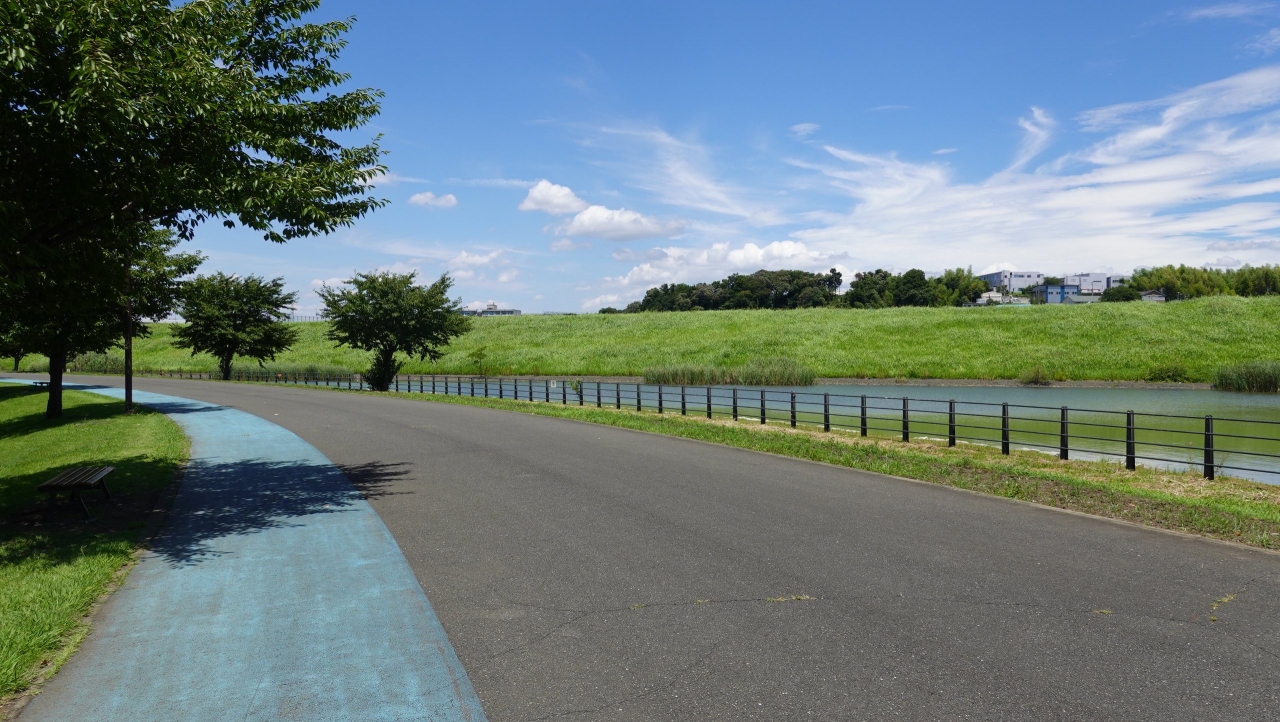 shinyoko_219.JPG