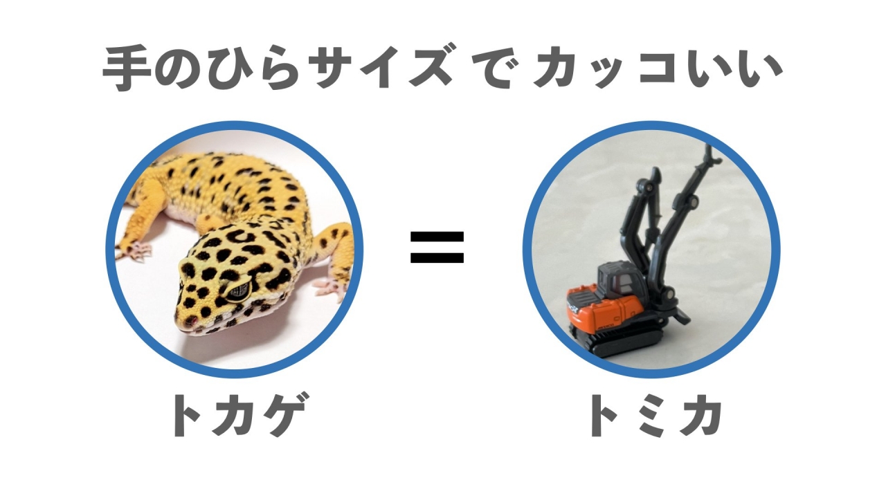 名称未設定１.020.jpeg