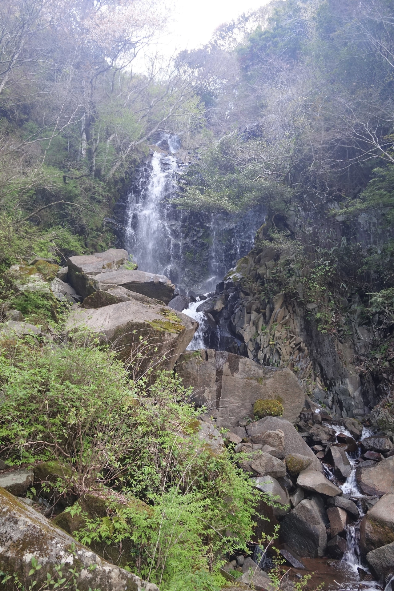 DSC02595.JPG