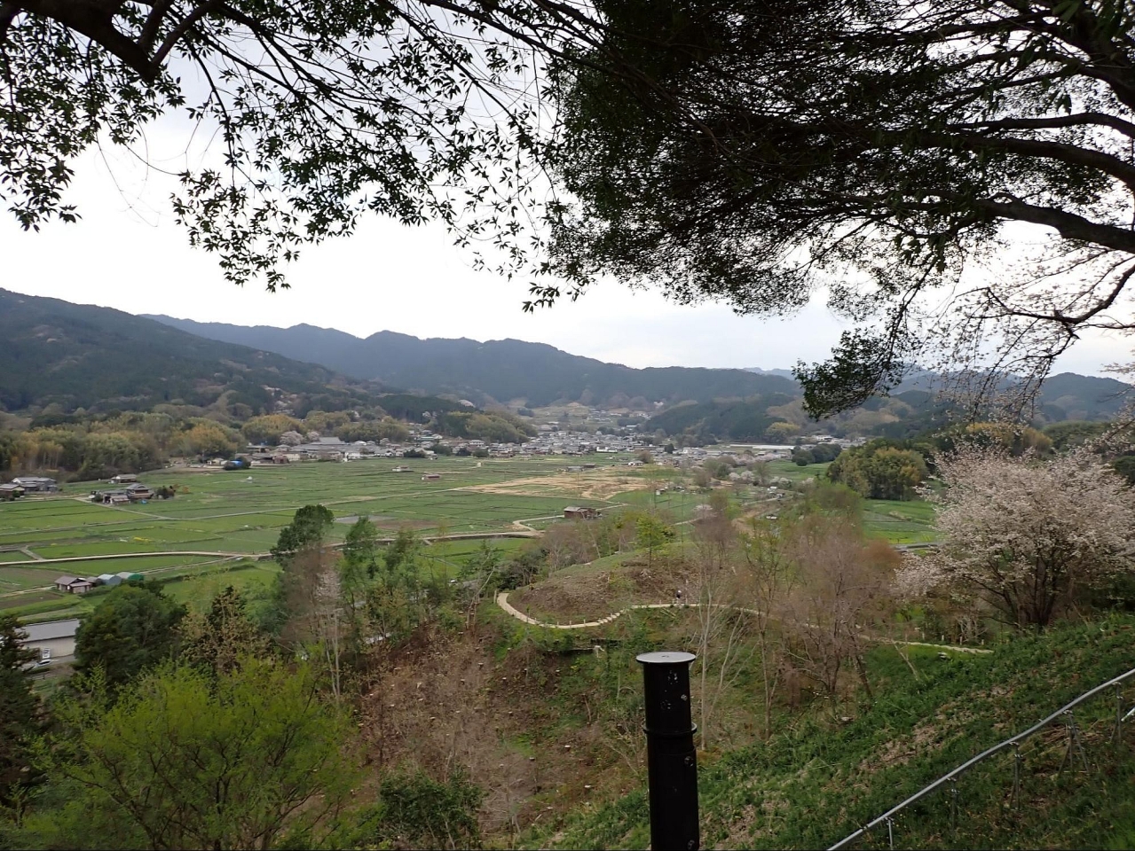 image_s064.jpg