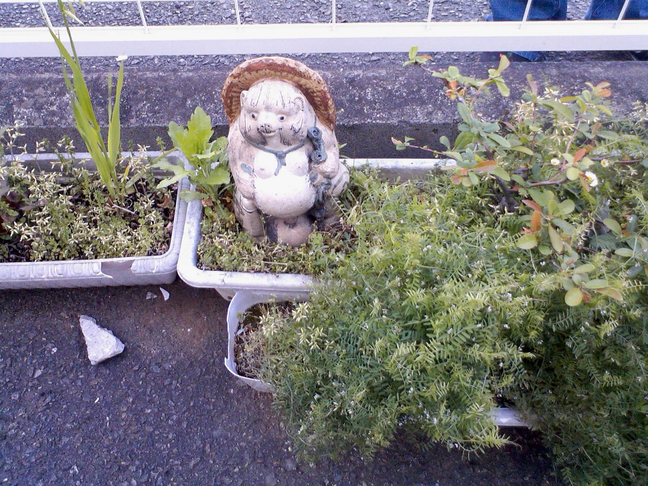 image10.jpg