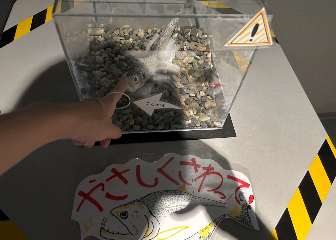 ピラニアの歯の鋭さを感じることのできる模型