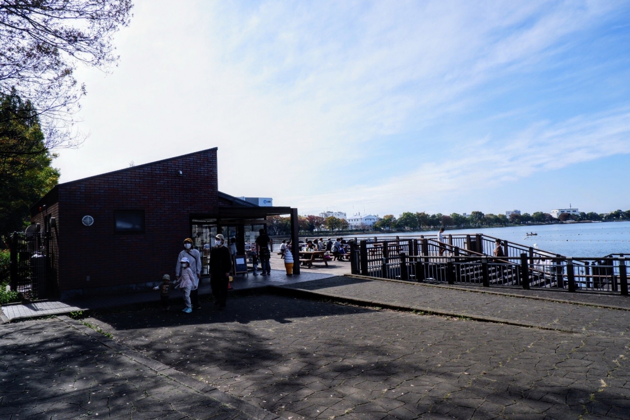 marsh_05.jpg