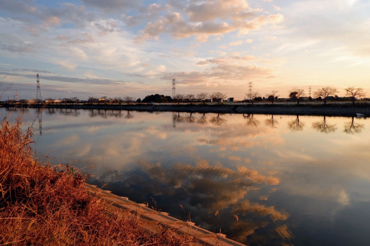 marsh_11.jpg