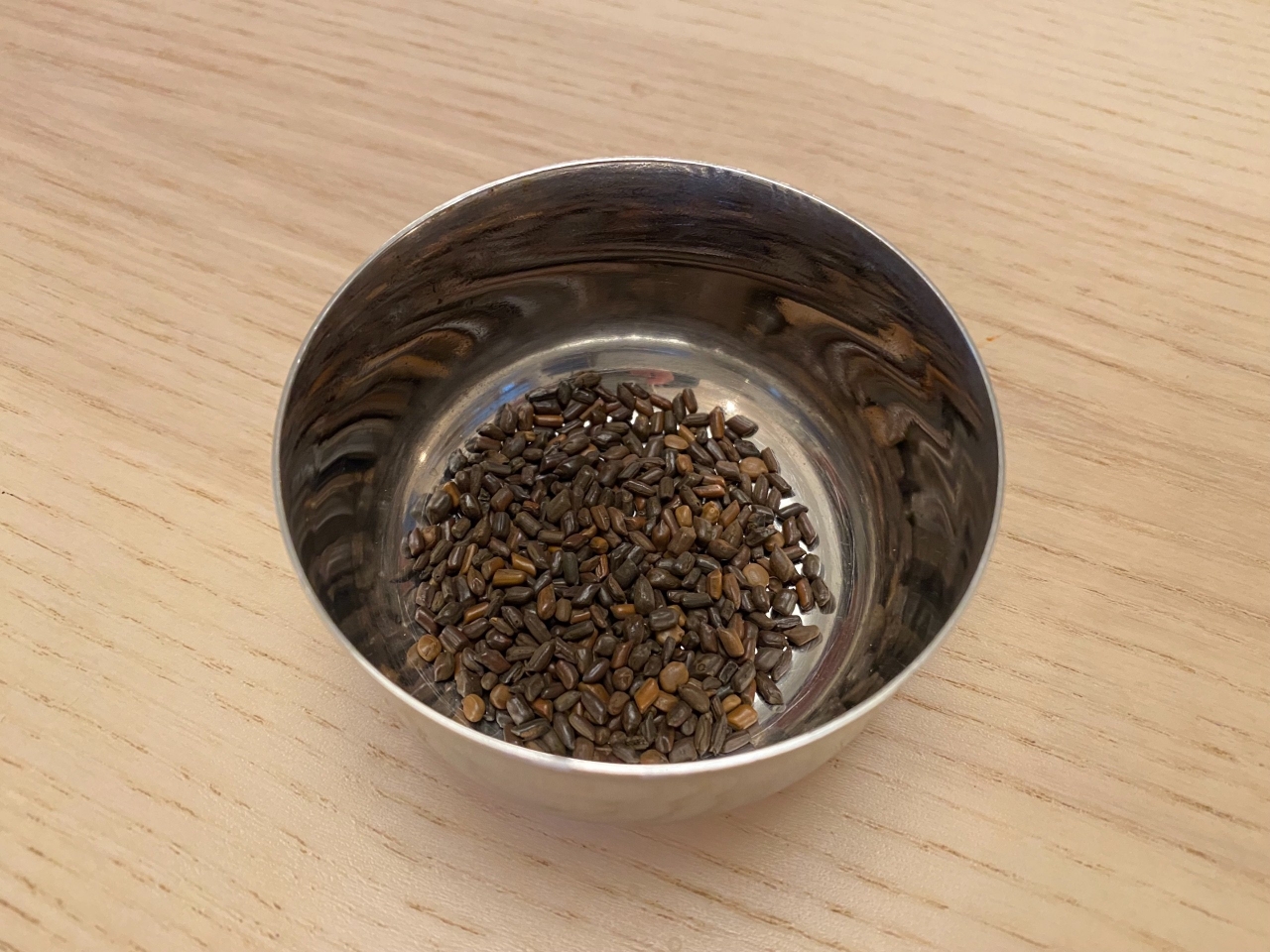 IMG_9526.JPG