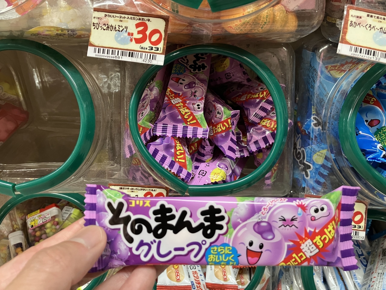 自由研究_32.JPG