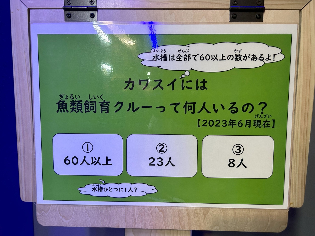 クイズ「カワスイには魚類飼育クルーって何人いるの？」①60人以上②23人③8人