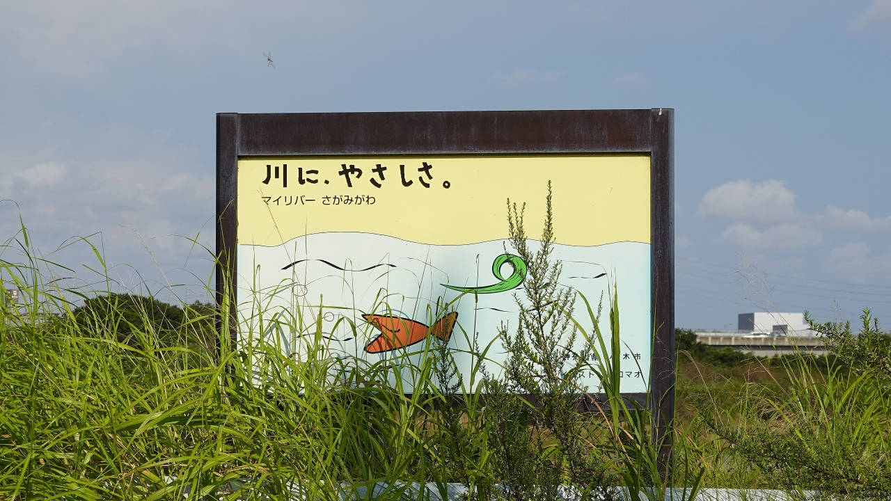 ishiishi_148.JPG