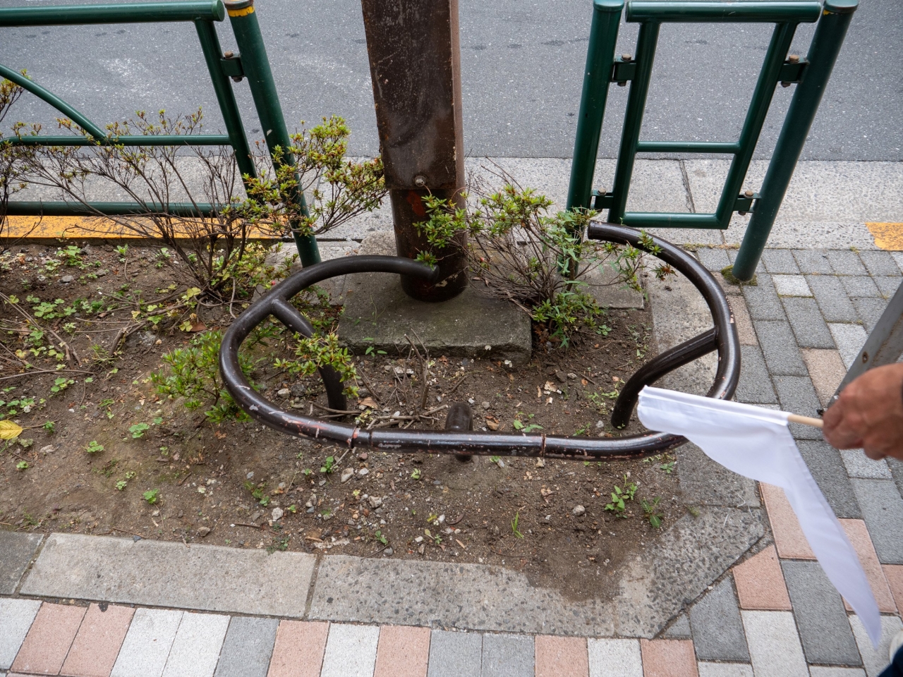 P1057004.jpg