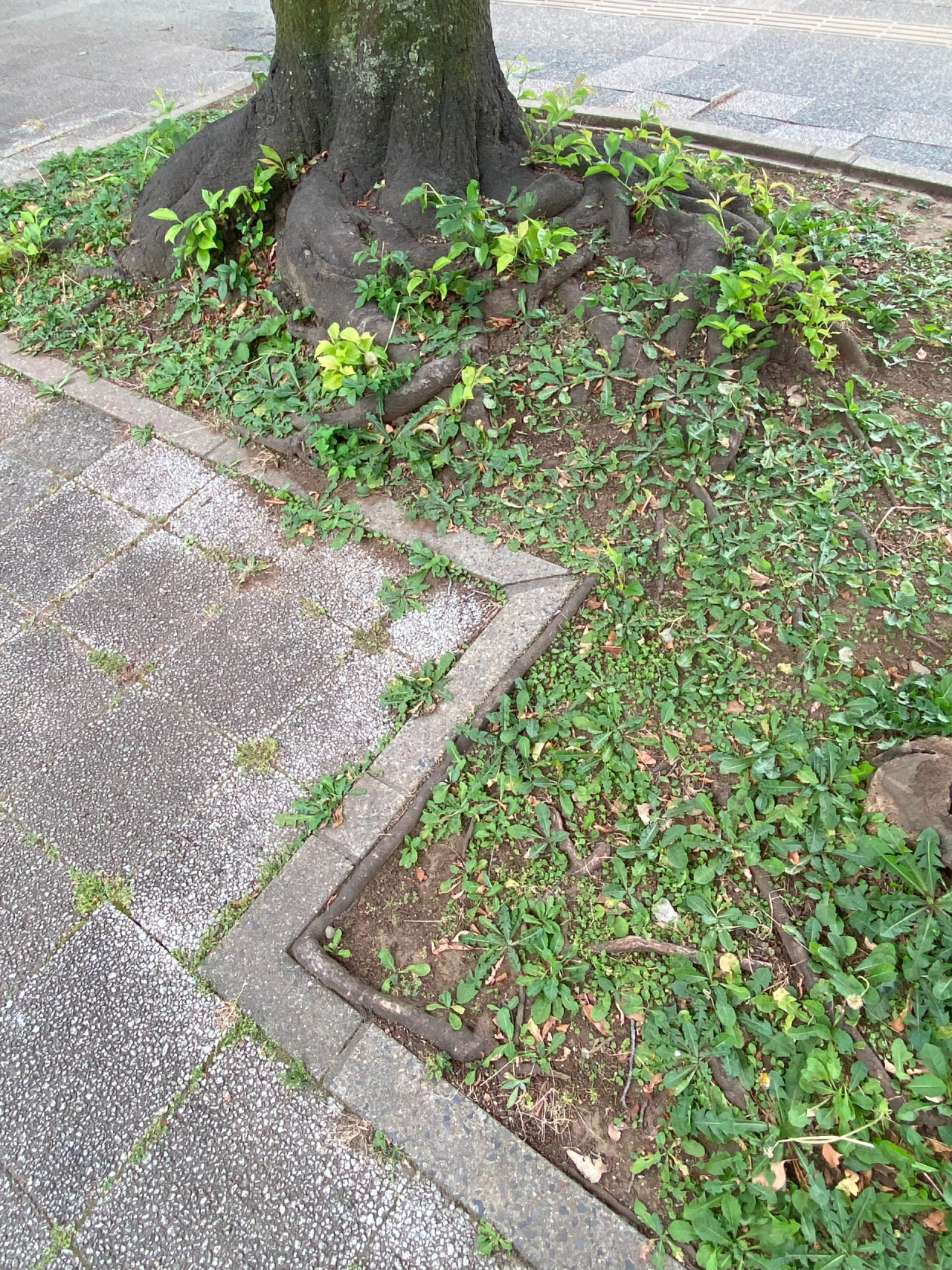 05-03.jpg