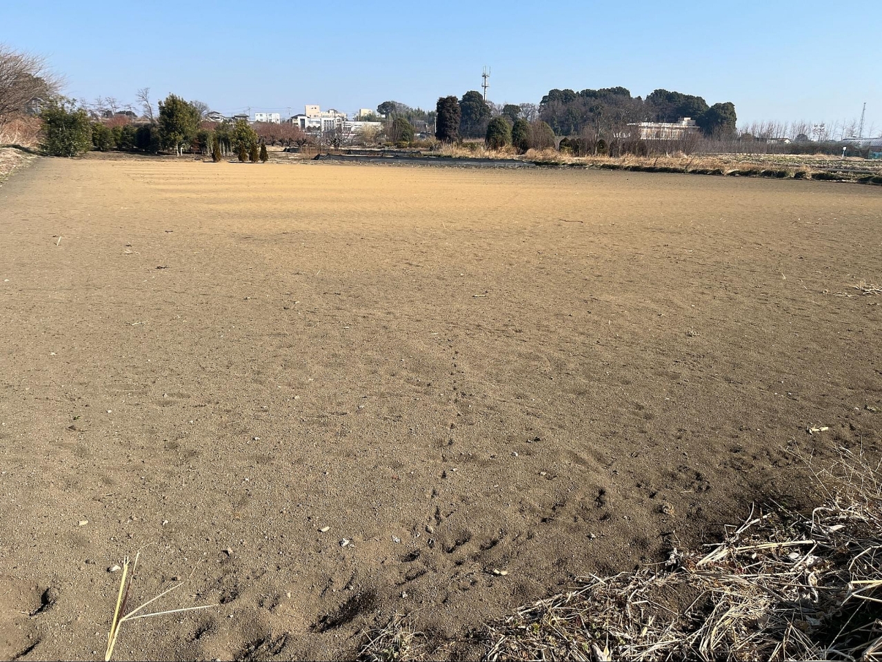 image_s012.jpg