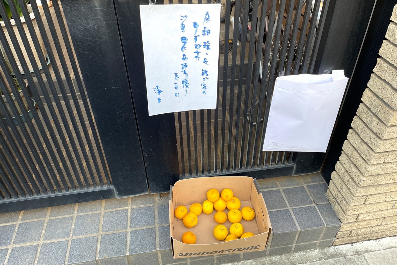87.jpg