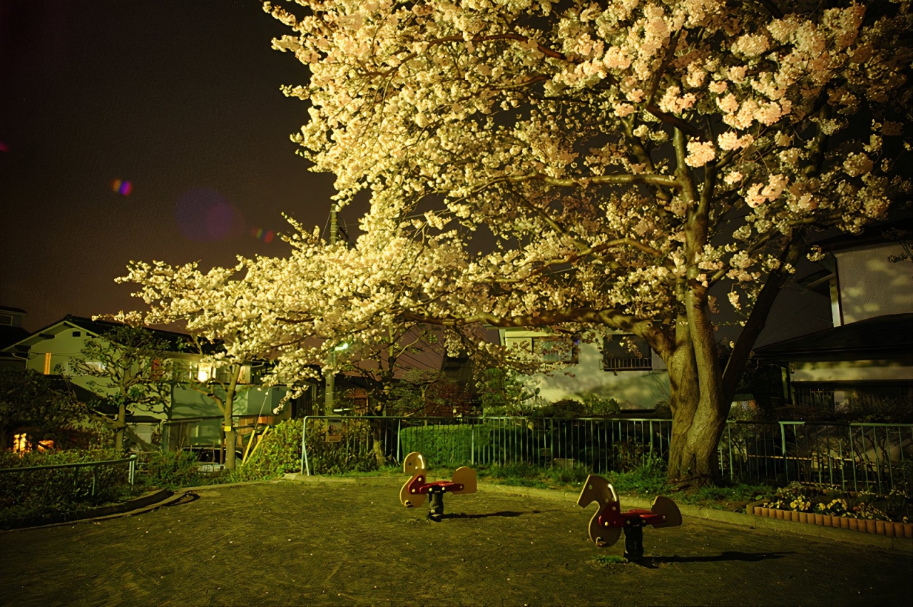 14_photos_v2_x2.jpg