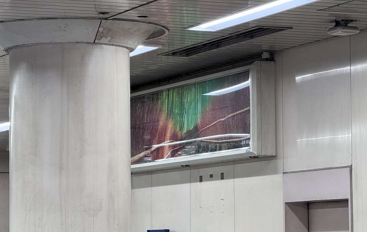 1_嵐山.png