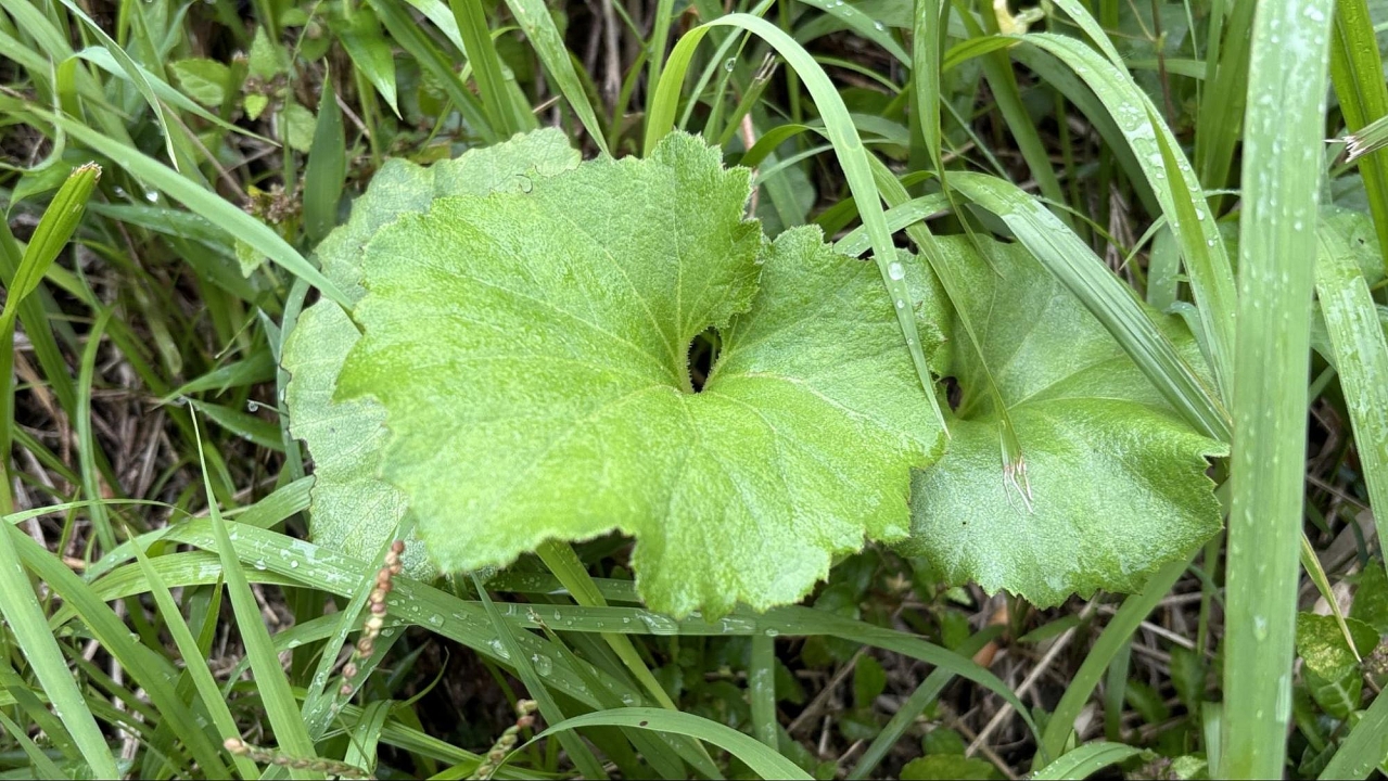 image13.jpg