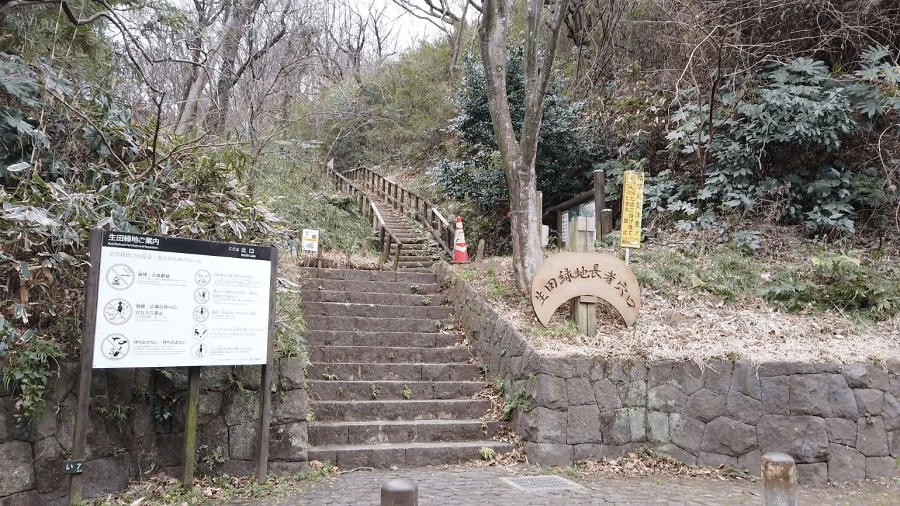 09.png