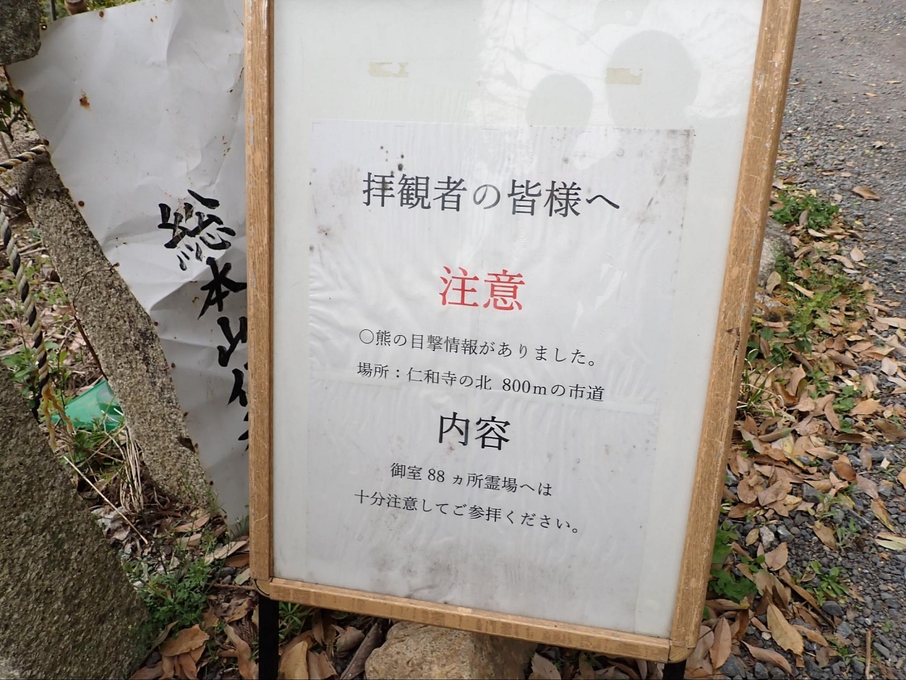 image7.jpg