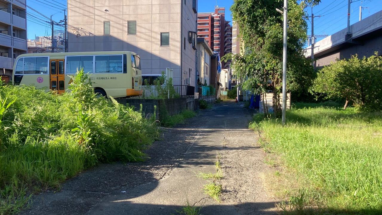 IMG_0487.jpeg