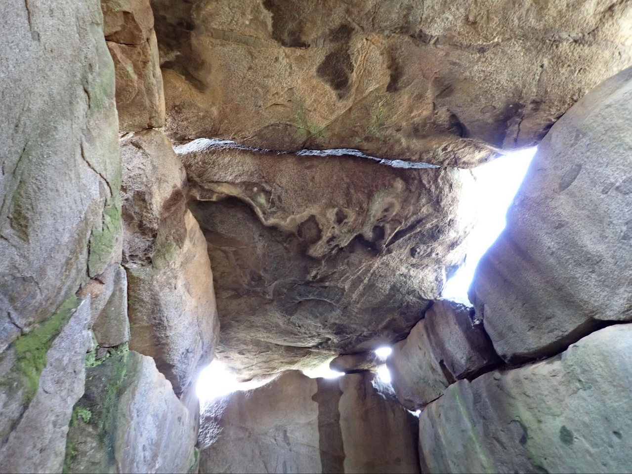image_s045.jpg