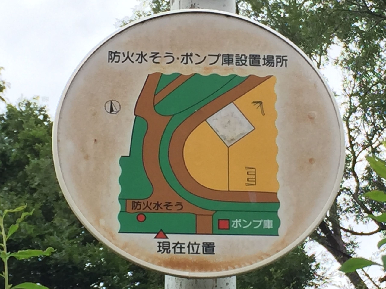 17.jpg