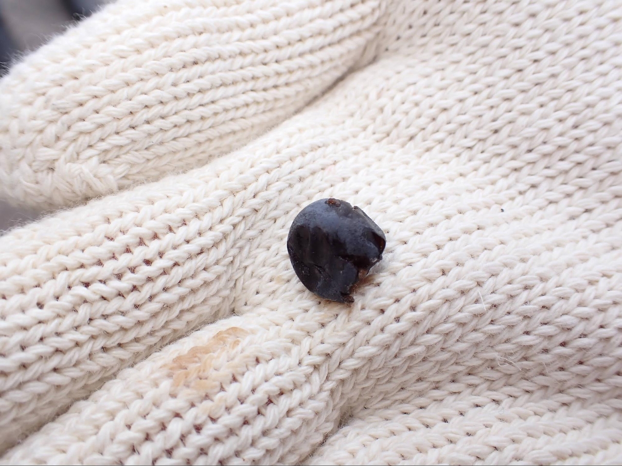 image22.jpg
