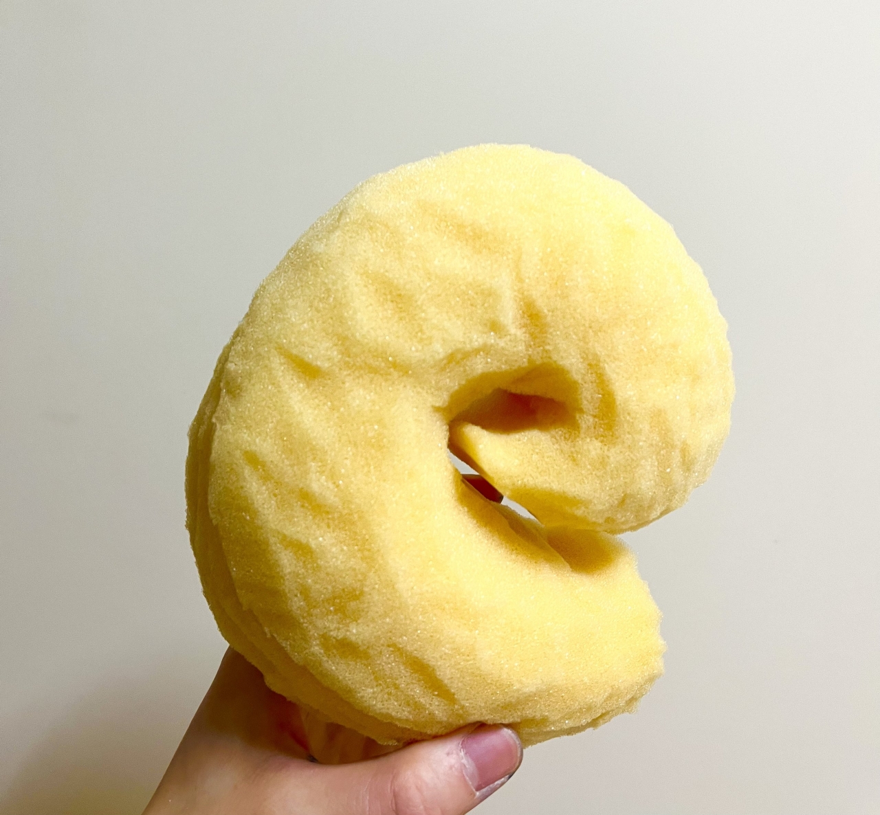 巨大カール.jpeg