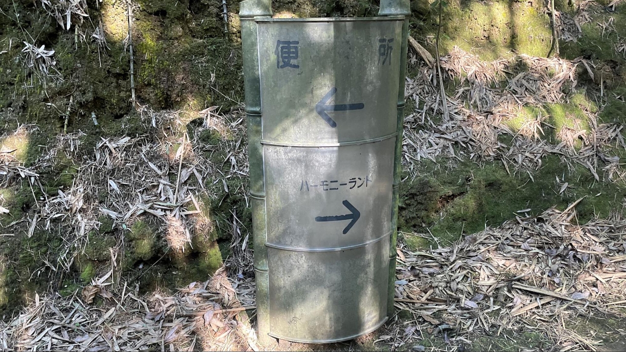image8.jpg