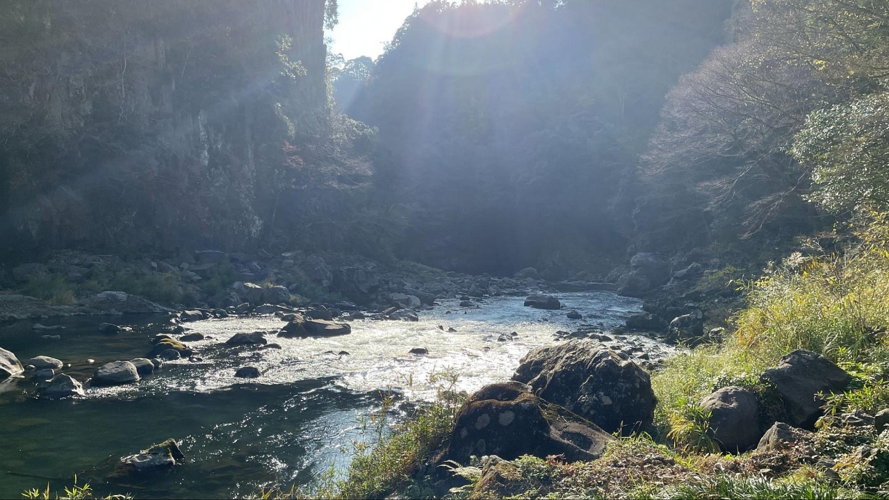 image12.jpg
