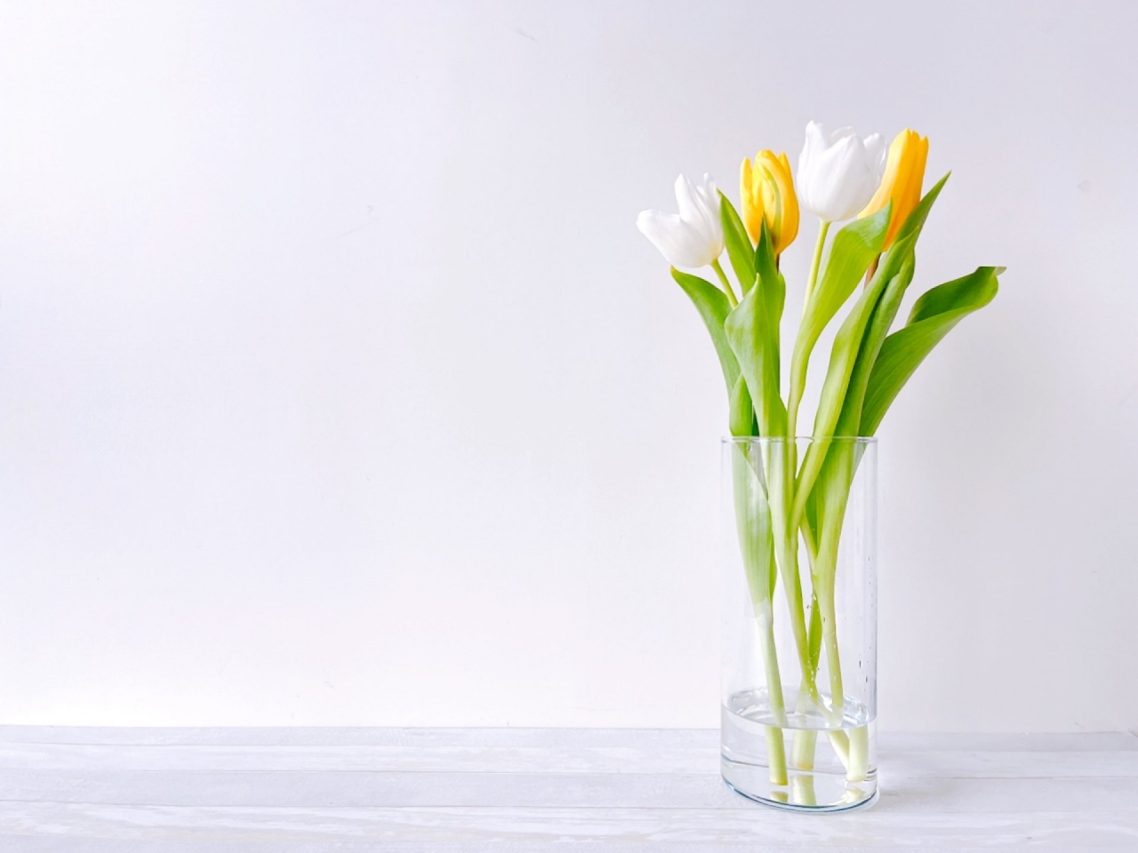 23297627_m.jpg