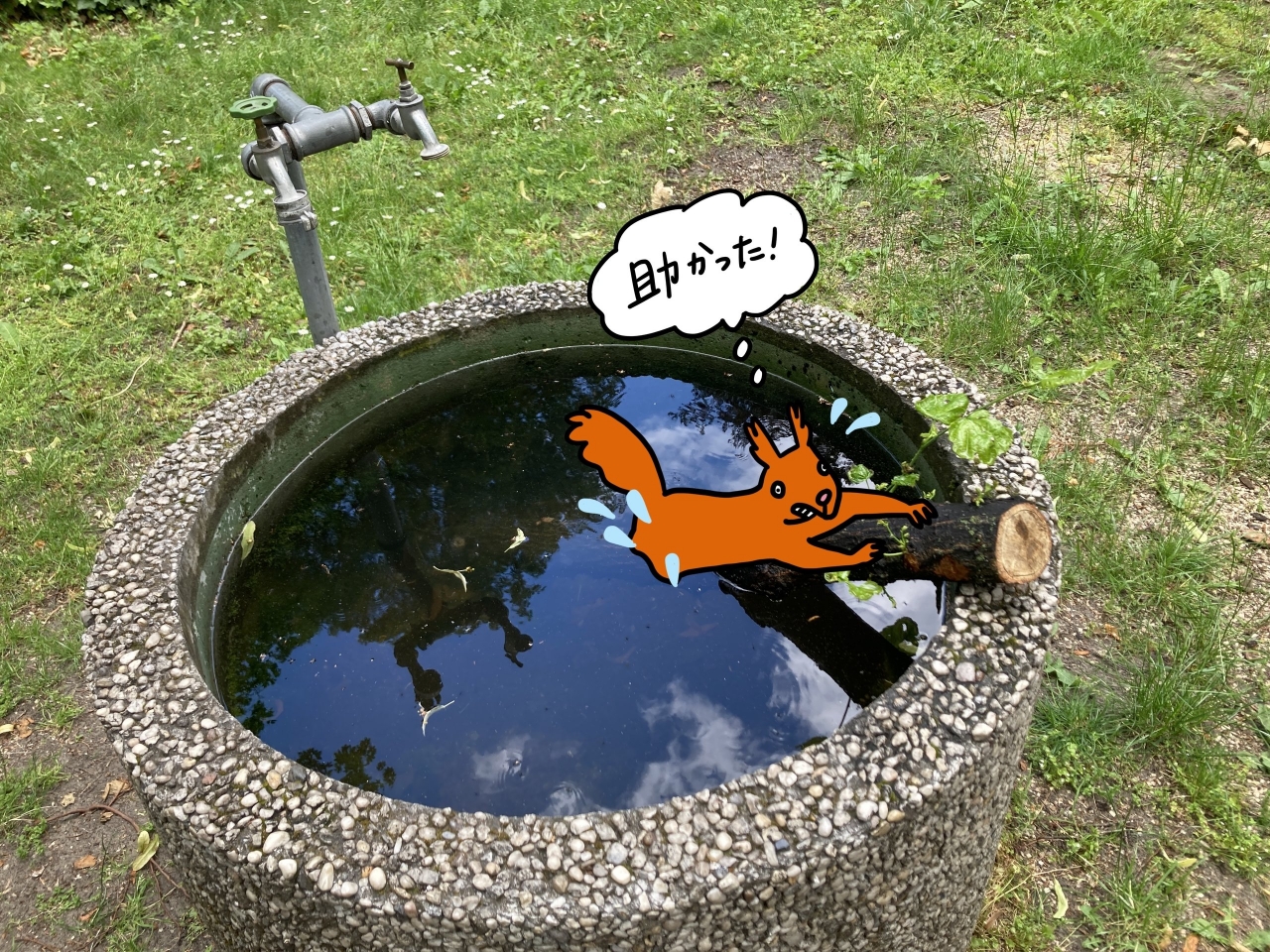 Untitled_Artwork 2.jpg