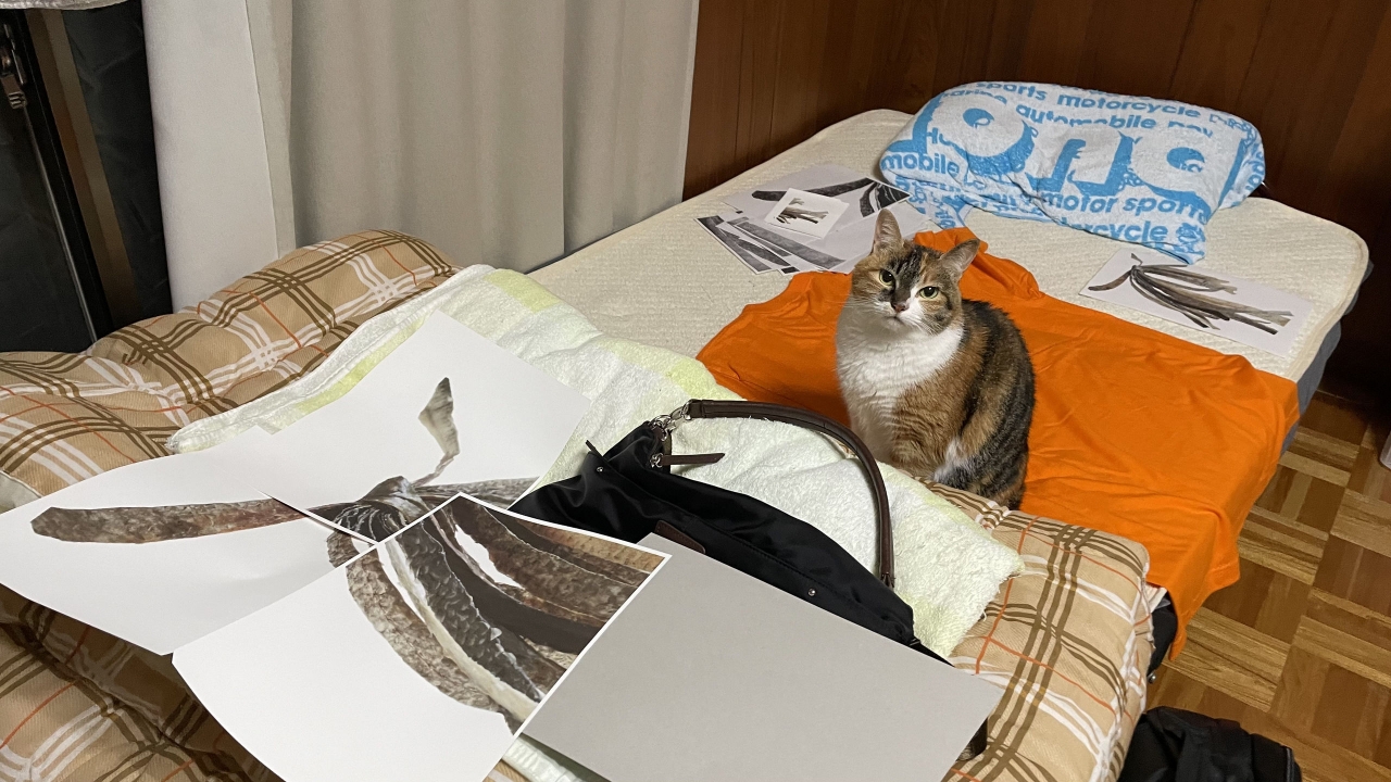 IMG_5631.jpeg