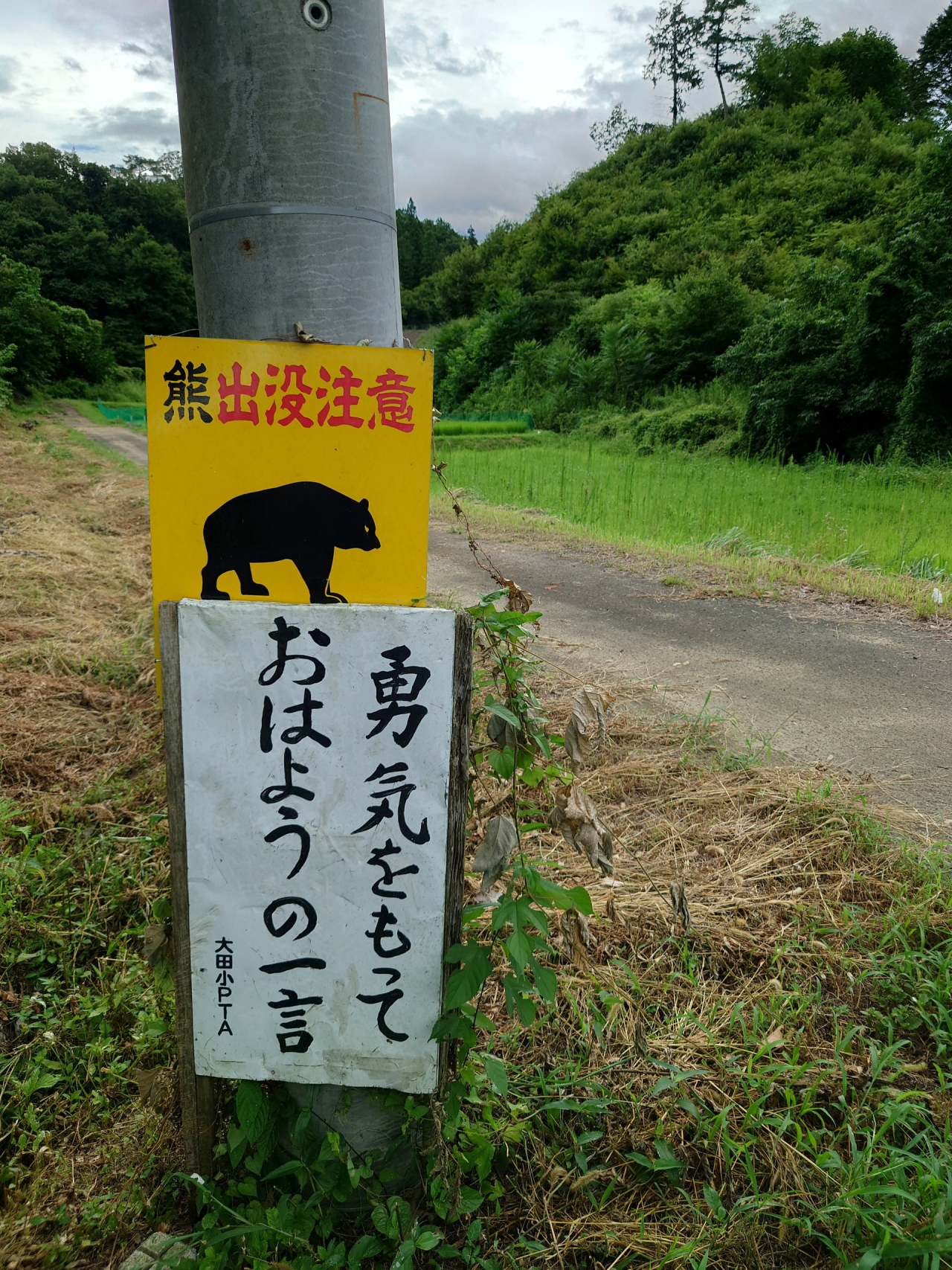 04_0001.jpg