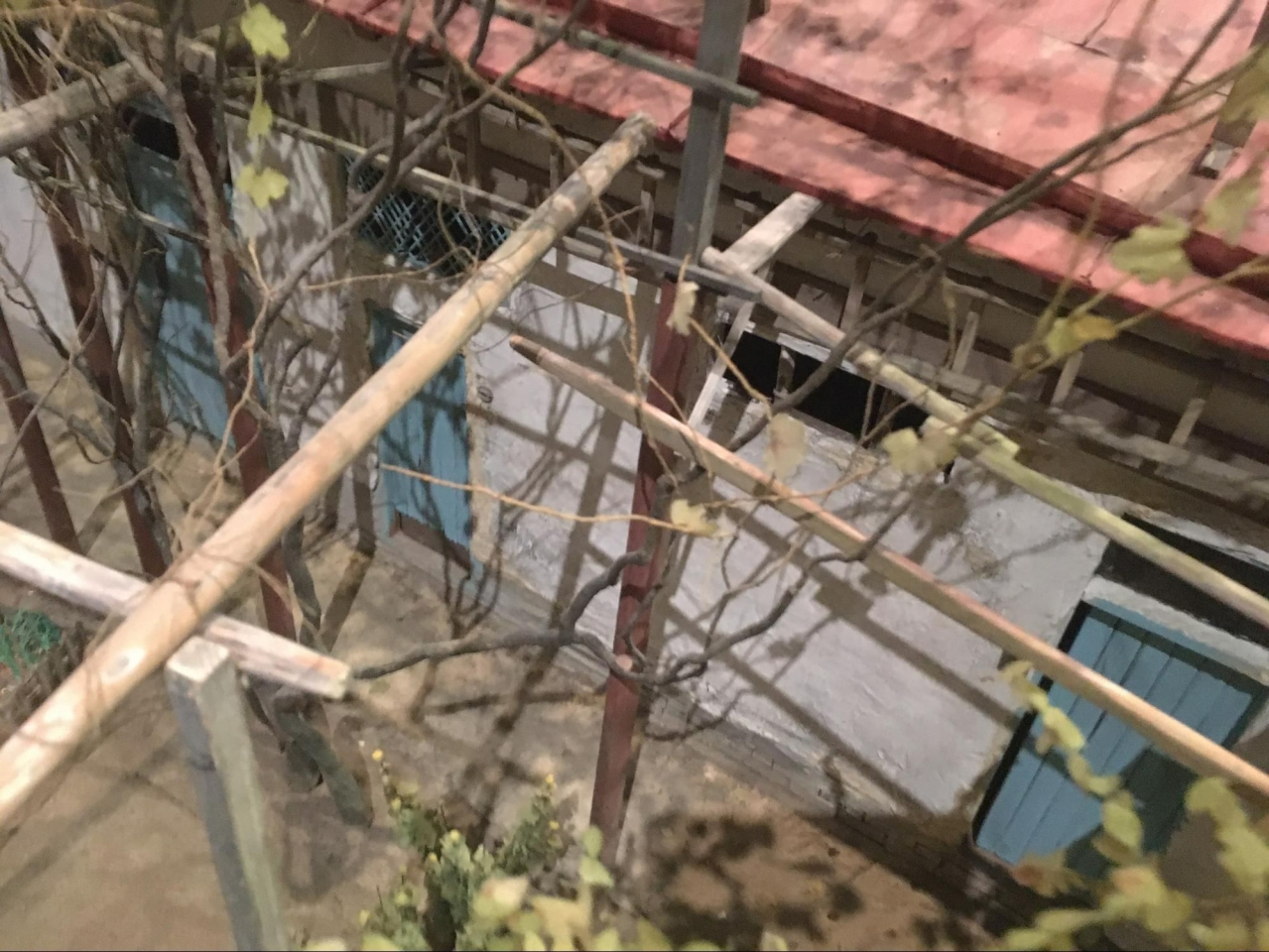 image5.jpg