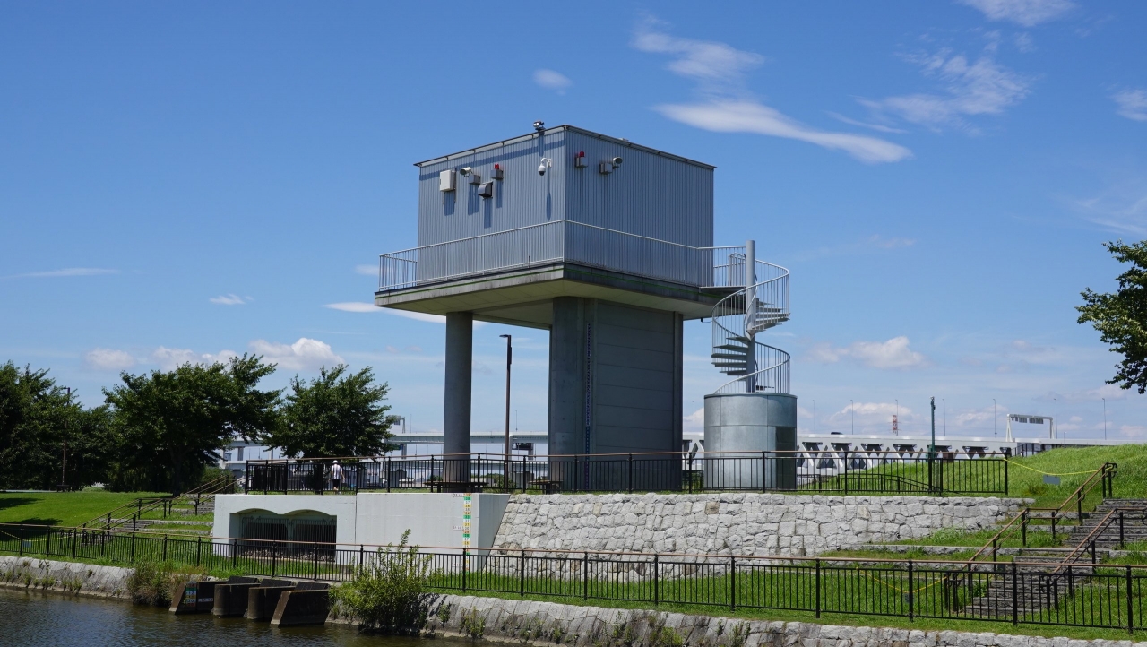 shinyoko_221.JPG